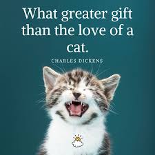 What Greater Gift Than The Love Of A Cat Charles Dickens Cute Baby Animals Crazy Cats Cats