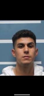 Aimee Petit (@aimeepetit)