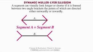 The orientation of the arrowheads affects one's ability to accurately perceive the length of the lines. Dynamic Muller Lyer Illusion Youtube