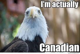 Bald Eagle Memes