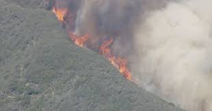 Image result for tbn:XVFRz-6Maj2JLM::www.jolmag.co.za/wildfire/images/Logos/vuvuzela_header.jpg