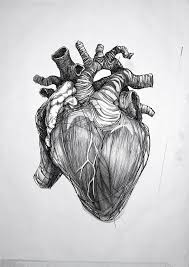 Drawing human heart with flowers background. Black And Grey Human Heart Tattoo Design