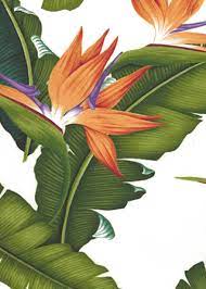 This Bird Of Paradise Fabric With Banana Leaves Also Comes In A Black And Navy Background See Those Here Barkcloth Birds Of Paradise Vintage Hawaiian Tropical