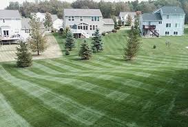 Get directions, reviews and information for dunn's lawn service in florissant, mo. New Leaf Lawn Serving St Charles Florissant Mo Lawn Care Mowing Service
