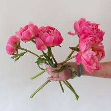 Check spelling or type a new query. Coral Charm Peonies Diy Wedding Flowers Flower Moxie
