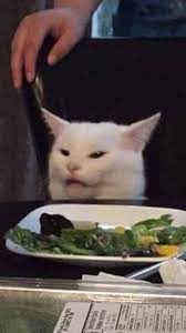 Wallpaper Memes Cute Animal Memes Cat Memes Cute Cat Wallpaper
