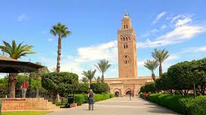 Check out our customer reviews. Casablanca Marrakesch Tour Und Kamelritt Airbnb