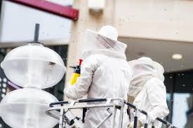 Above all exterminating & pest control. Bed Bugs Best Exterminators Near Me Clifton Nj