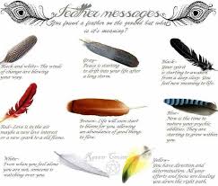 You Found A Feather Here S What It Means Feather Meaning Feather Magic Feather