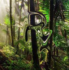 Ayahuasca Should You Do It Our Editor Dives In To Find Out Mountain Culture Group