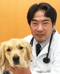 獣医師監修】「犬の線維肉腫」原因や症状、なりやすい犬種、治療方法は？｜hotto（ホット）