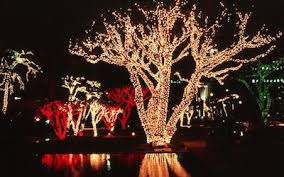 Holiday lighting for christmas, hannukkah and diwali for: Pro Grade Led Christmas Lights Versus Retail Grade Christmas Designers