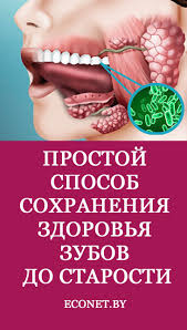 отбеливание зубов в домашних условиях без вреда для эмали Prostoj Sposob Sohraneniya Zdorovya Zubov Do Starosti In 2020 Health And Beauty Health Dental Health