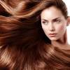 Story image for Rambut Sehat Secara Alami from LoperOnline.com (Siaran Pers)