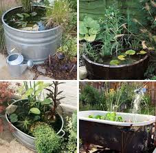 Before Summer Rolls Around Why Not Create A Container Pond You Know A Pond In A Large Container Yo Small Water Gardens Container Water Gardens Water Garden