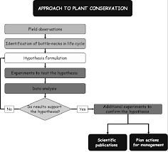 Flowchart Of The Research Approach To Plant Conservation