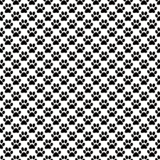 Black And White Paw Print Wallpaper Cats Backgrounds And Wallpapers Cat Wallpaper Iphone Background Wallpaper Iphone Wallpaper Fall