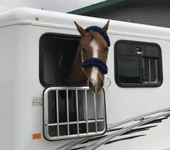 Stock # n5075598 notes 2022 exiss express 3 horse gooseneck, all aluminum slant load,7'0 width, 7'2 inside height,.040 white aluminum side sheets, extruded slat outside of horse area, (2) 5,200 lbs. Horse Trailer Weights By The Numbers 77 Types Models