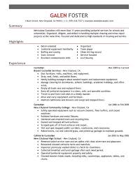 cleaning professionals resume example