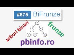 Acest laborator prezinta probleme rezolvate in c++. C Arbori Binari Frunze Pbinfo Ro Problema 675 Bifrunze Youtube