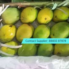 Namun, untuk bisa mendapatkannya diperlukan sejumlah diamond dan harus membelinya. Mangoes Wholesale Price Mandi Rate For Mangoes In India