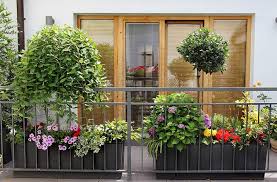 La taille d'entretien des fruitiers la taille des fruitiers ou des arbres fruitiers favorise la fructification et permet à votre verger d'avoir un meilleur rendement. Jardin Sur Balcon Conseils D Amenagement Les Limites Legales