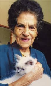 My beautiful Daisy 🌼 passed this morning. These are my favourite photos of  her