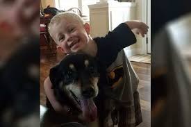 Evansville tourism evansville hotels evansville bed and breakfast. Animal Care And Control Hosts Annual Scotti Reif Superhero Adoption Event Clarksvillenow Com