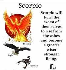 Rise A Greater Being Scorpio Zodiac Facts Astrology Scorpio Libra Scorpio Cusp