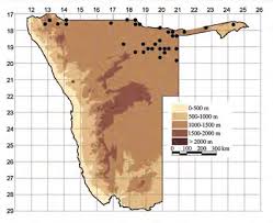 Image result for Baissea wulfhorstii