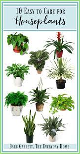 10 Easy To Care For Houseplants The Everyday Home Www Everydayhomeblog Com Houseplants Diy Lawn Cheap Raised Garden Beds
