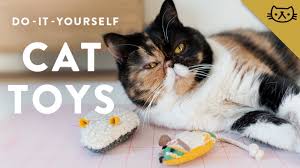 It seems that cats know what things are bought for them, and the things that are bought for us. 10 Simple Homemade Cat Toys That Make Great Holiday Gifts Cattime