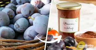 Pflaumenketchup Selber Machen Kostlich Pikante Sosse Zu Gegrilltem Ketchup Tomaten Ketchup Pflaume