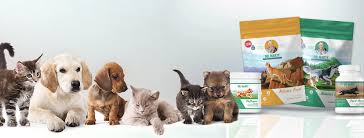 Most pet food companies cook their food extensively, which strips away most of the nutritional value. Inspired By Savannah Dogs And Cats Will Love The Great Taste Of Dr Marty Nature S Blend Freeze Dried Raw Pet Food And Treats They Make For A Great Gift Idea For