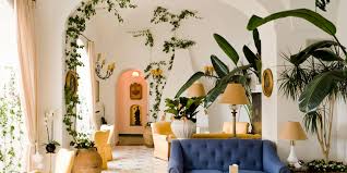 Check spelling or type a new query. Our New Plant Obsession Is The Indoor Climbing Vine Architectural Digest