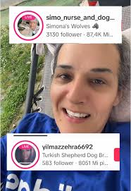 La Cinofilia: Kangal vs. Dobermann