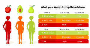 Waist To Hip Ratio How To Calculate 6 Abdominal Exercises