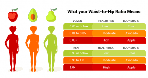 waist to hip ratio how to calculate 6 abdominal exercises