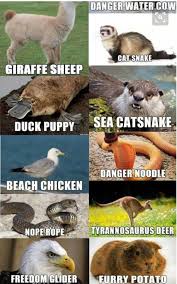 Pin By Megan Ayon On Animal Funny Animal Jokes Funny Animal Memes Animal Jokes