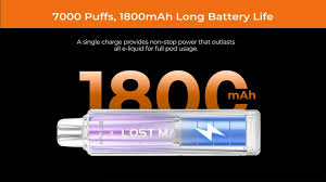 Lost Mary Pro Max 7000 Prefilled Vape Kit