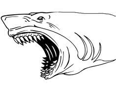 Coloring page_shark fish created date: 73 Shark Coloring Pages Ideas Shark Coloring Pages Coloring Pages Coloring Pictures