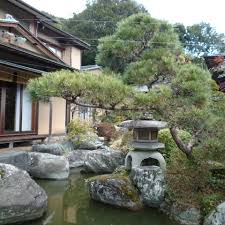 愛樹園 - 愛樹園