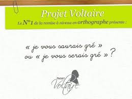 Je vous saurais gré de ne pas me marcher sur les pieds. Je Vous Saurais Gre Ou Je Vous Serais Gre Video Dailymotion