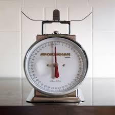 Shop kitchen scale clock & more. Sportsman Stainless Steel Dial Food Scale 44 Lb Capacity 10 5 In L X 10 5 In W X 12 5 In H Ssdscale At Tractor Supply Co