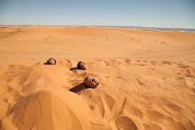 Pour visiter notre hotel a merzouga clic ici: Sand Bath Riad Maison Adrar