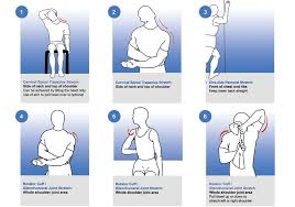 Pin On Physical Therapy