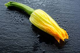 Is epsom salt safe to put on zucchini. Squash Blossoms Sauteed Or Deep Fried Harvest To Table