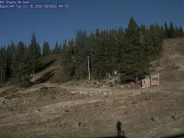 Intuitive fred888: Wildflowers starting to bloom on January 22nd in  Northern California?