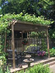 Grapes Create Living Roof On Pergola So Cozy Trauben Garten Weintrauben