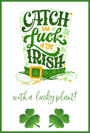 We did not find results for: Good Luck Quotes Best Of Luck Wishes Irish Quotes Lucky Sayings